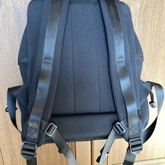 小型犬用キャリーリュック city dog の画像