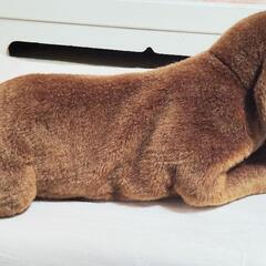 ミニチュアダックスフンドのぬいぐるみの画像