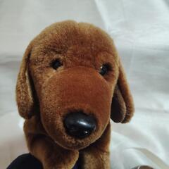 ミニチュアダックスフンドのぬいぐるみの画像