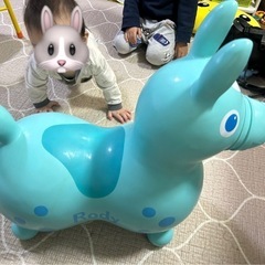 ロディーの画像