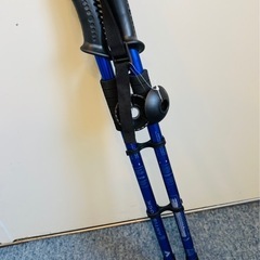 ウォーキングスティック　ブルーの画像