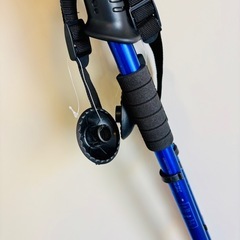 ウォーキングスティック　ブルーの画像