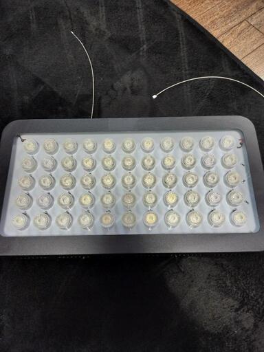 アクアリウム　LEDライト　海水　水槽　ブラックボックス