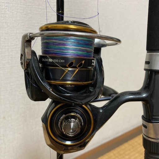 ダイワ　釣竿、リール（PEライン付）、ケース
