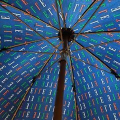 ELLE ネイビー雨傘の画像