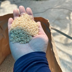 【決まりました】お米　　令和5年産　30キロ玄米⓶