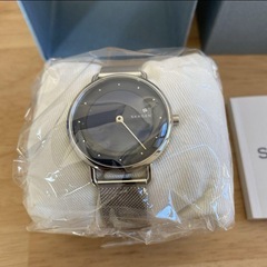 プレゼントに最適！新品未使用　スカーゲン SKAGEN レディースウォッの画像