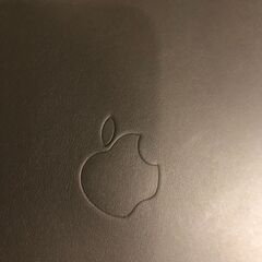 iPad Air Apple純正ケースの画像