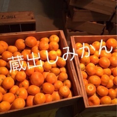 みかん　入れ替え作業　積込み　　農業