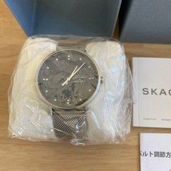 プレゼントに新品未使用　SKAGEN スカーゲン 二針 メンズ 40mm 腕時計の画像