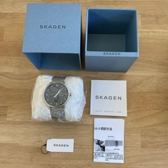 プレゼントに新品未使用　SKAGEN スカーゲン 二針 メンズ 40mm 腕時計の画像
