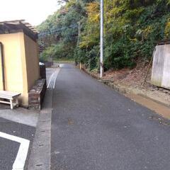 ストーブの薪の画像
