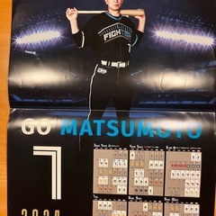 ファイターズ　ポスターの画像