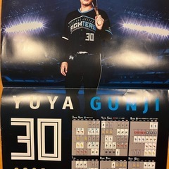 ファイターズ　ポスター