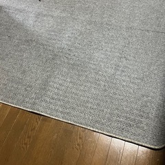 ニトリのホットカーペット