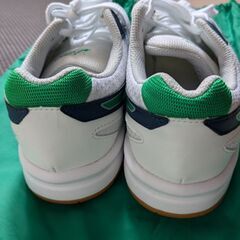 ASICSシューズ（ケース、ソックスおまけ付き）の画像