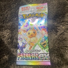 テラスタルフェス