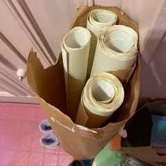 家の壁紙　クロス　新築どきの余り物