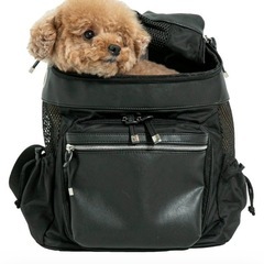 小型犬用キャリーリュック city dog 