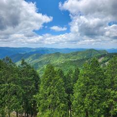 メンバー募集 - 和歌山市