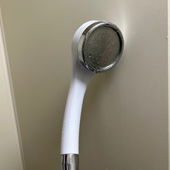 カインズ　シャワーヘッドの画像