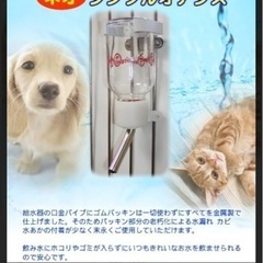 シンプルオアシス　キンペックス　ペット用給水器の画像