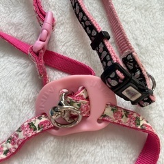 美品　犬用　ハーネス　おまけ首輪付　　　の画像