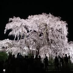 郡山住みの女友達欲しいです☺️💞✨ - チャット