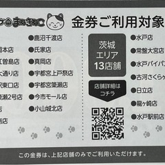 カラオケ　まねきねこ　割引券　6000円分　 株主優待の画像
