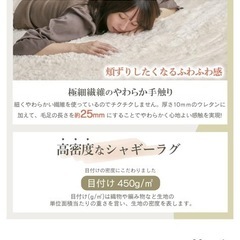 ラグマット・
シャギーラグの画像