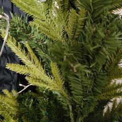 新品未使用 6フィートのクリスマスツリーの画像