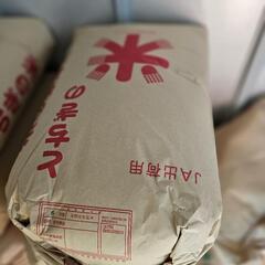 新米 令和６年産 もち米 玄米

