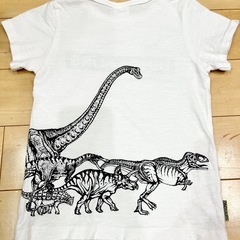 110cm ブリーズ　恐竜　半袖の画像