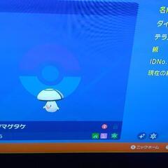 ポケモン剣盾(ソードを少しの間貸してください)