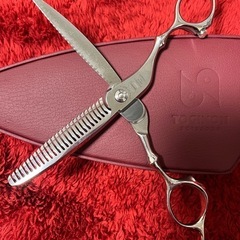 トギノン　ダイナザウルス（中古美品）
