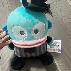 ハンギョドン