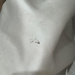 ウェディングドレスの画像