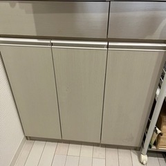 分別ペールカウンター(指定期間中直接取りに来て頂ける方)