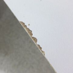 6連デスク 幅432cm 個別ブース 自習ブース 多目的 連結 学習塾 PCブースデスク 6人用☆ 札幌市 北区 屯田 の画像