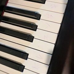 受け渡し予定ありです。引き取りに来てくださる方無料でお譲りします！期間限定の画像