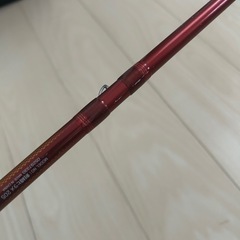 DAIWA ダイワ 剣崎 ヒラメ 205 バケスペシャル 中古品の画像