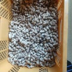 広島県産生落花生800gの画像