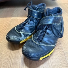 【 NIKE ZOOM KOBE 2 'CARPE DIEM' ...