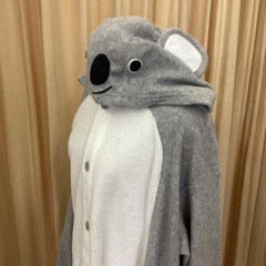 コアラ　家着の画像
