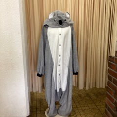 コアラ　家着