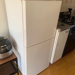 skin conditioner Moisteane IV