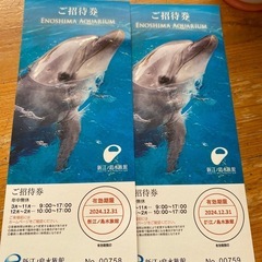 【早い者勝ち】新江ノ島水族館　招待券2枚 12月31日まで