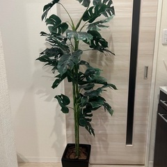 光触媒 モンステラ 造花 