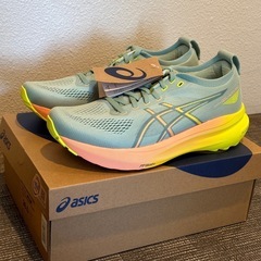 【新品】アシックス GEL-KAYANO　31 PARIS 26cm
