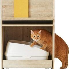 猫トイレ棚3セットの画像